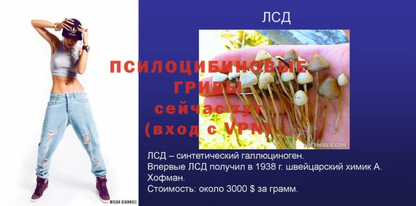 Альфа ПВП Алексин