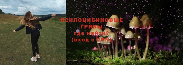 прущая мука Арсеньев