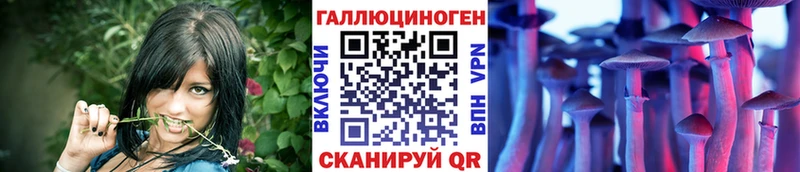 Псилоцибиновые грибы ЛСД  Курганинск 